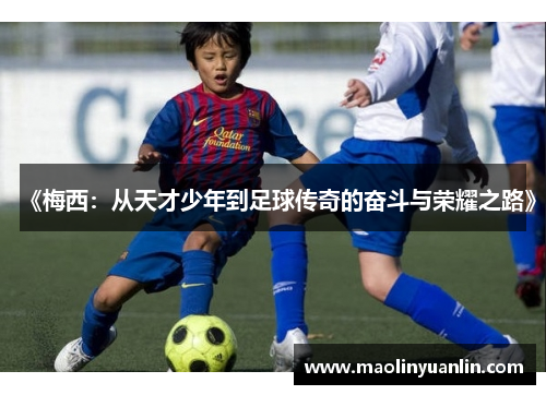 《梅西：从天才少年到足球传奇的奋斗与荣耀之路》