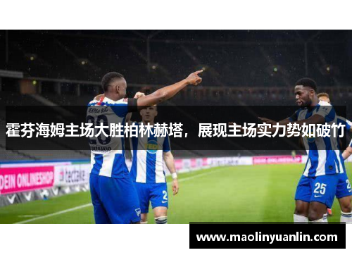 霍芬海姆主场大胜柏林赫塔，展现主场实力势如破竹